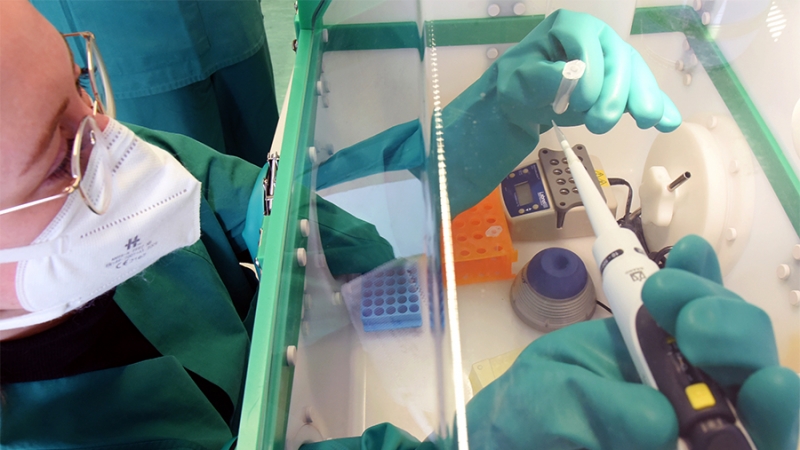 Европейские вирусологи оценили опасность «Лямбда»-штамма коронавируса