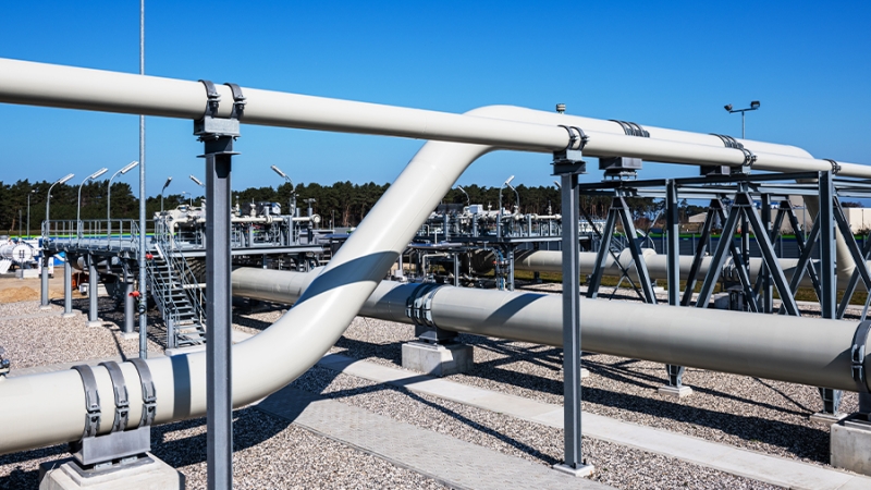 В Госдуме оценили заявление Мерца о «Северном потоке – 2»