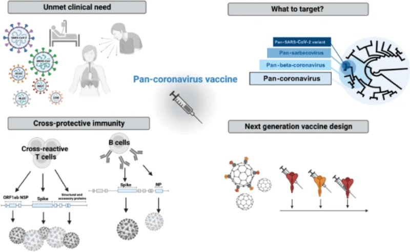 Разработка универсальных вакцин с помощью искусственного интеллекта
