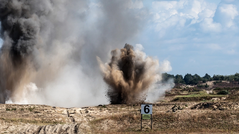 В Польше выразили намерение создать свою систему защиты без &laquo;стены дронов&raquo;